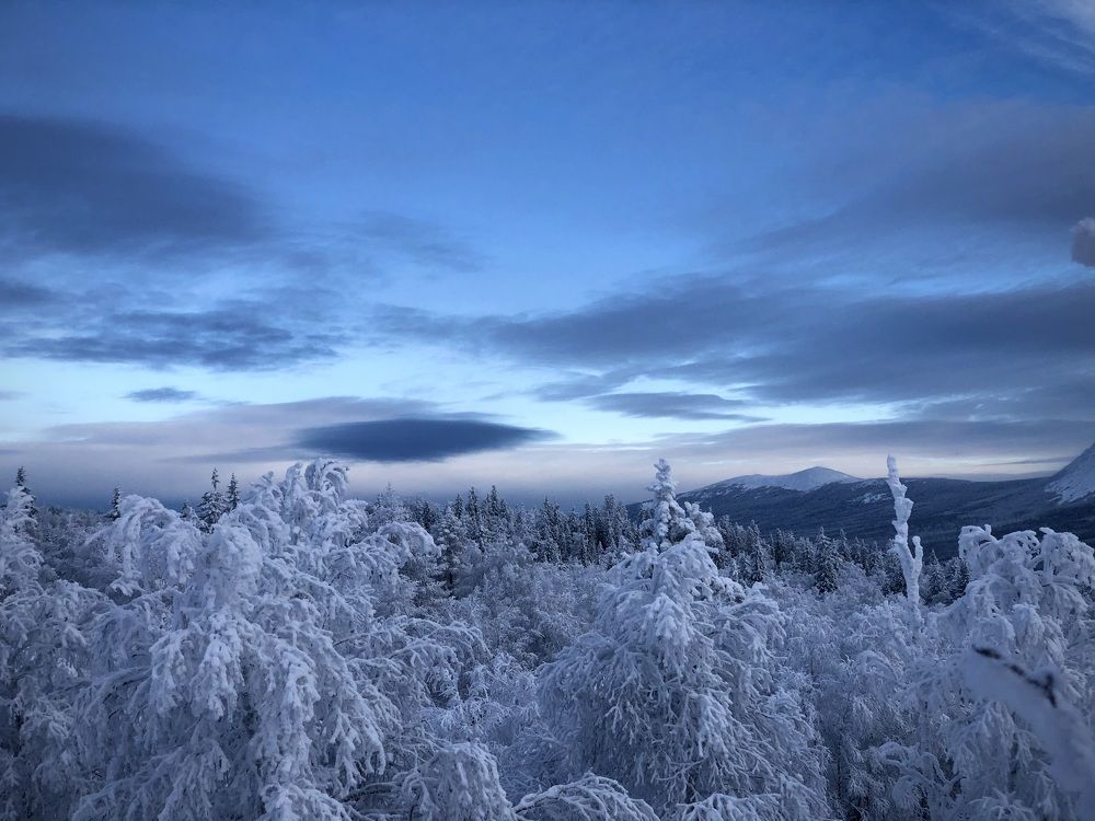 Фотография автора Евгения Елисеева