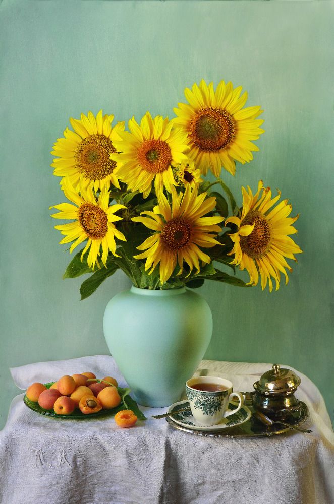 Фотография автора Наталья Елисеева