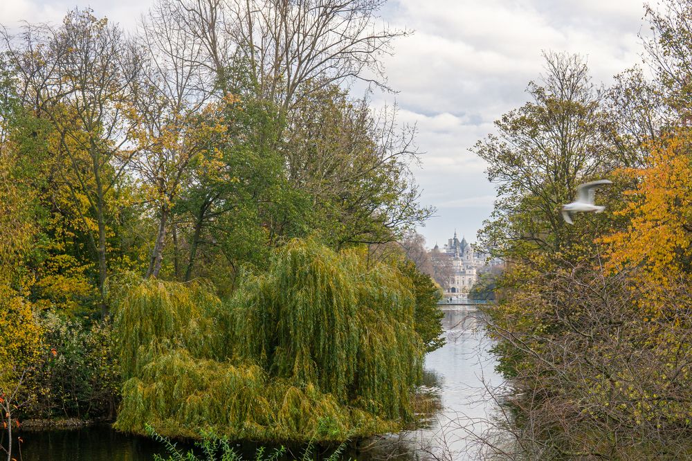 Photograph by Mohd Faridz Bin Azhar