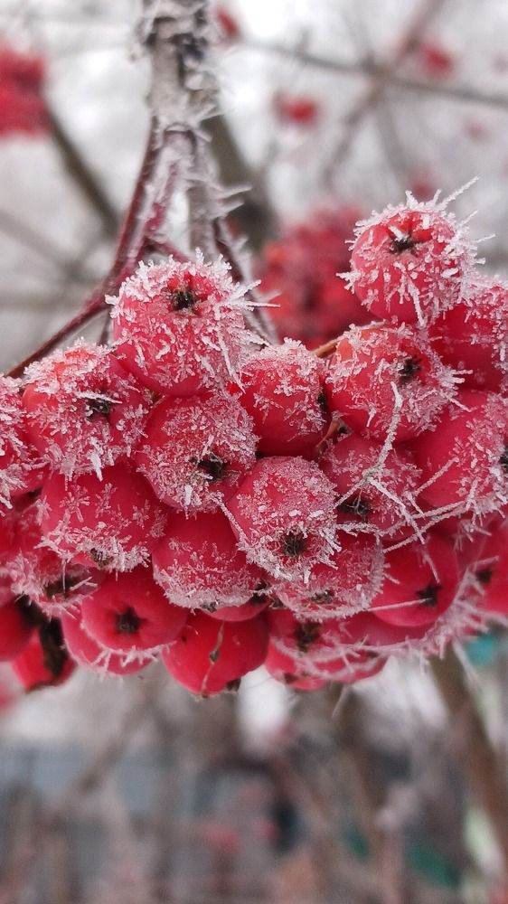 Photograph by  Татьяна Дорожко