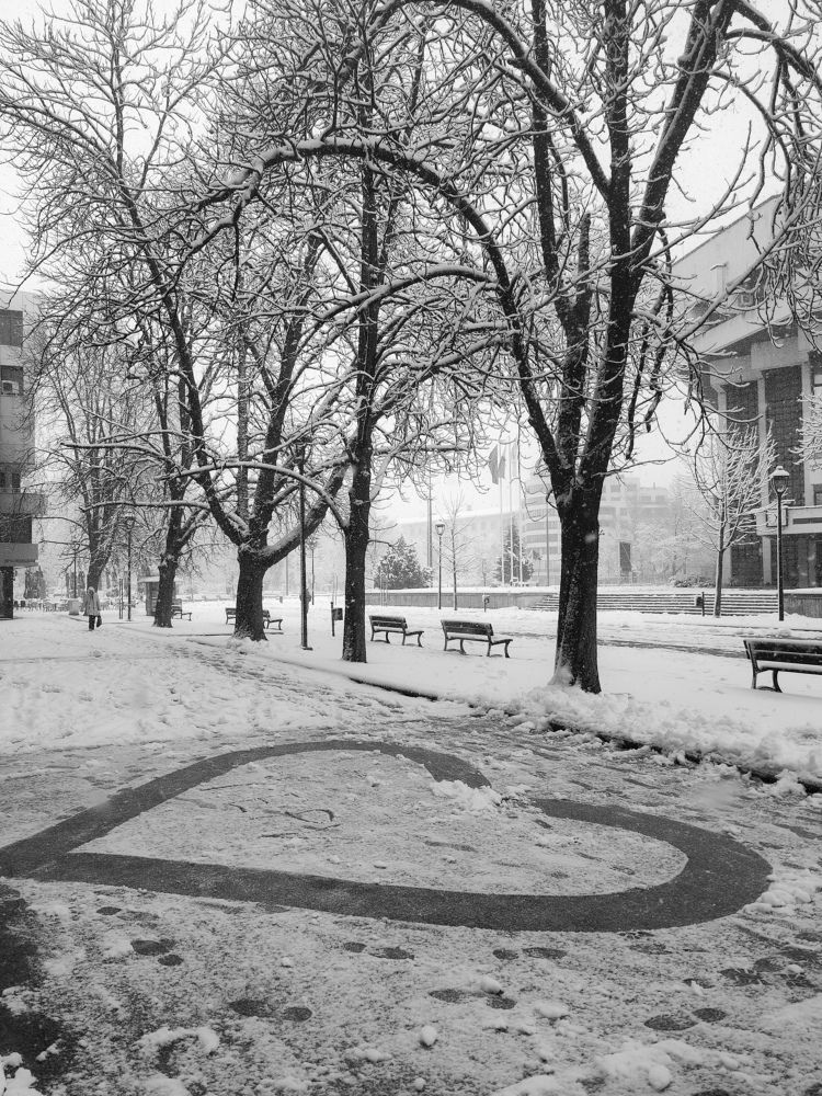 A warm heart in a cold winter morning