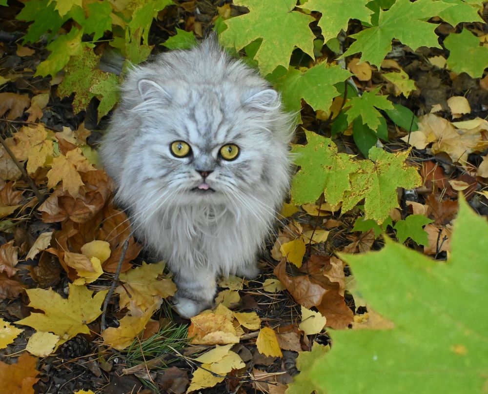 Photograph by Ольга Дерябина