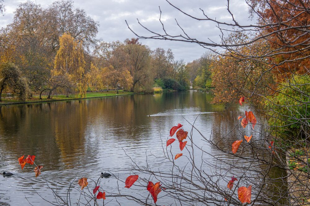 Photograph by Mohd Faridz Bin Azhar