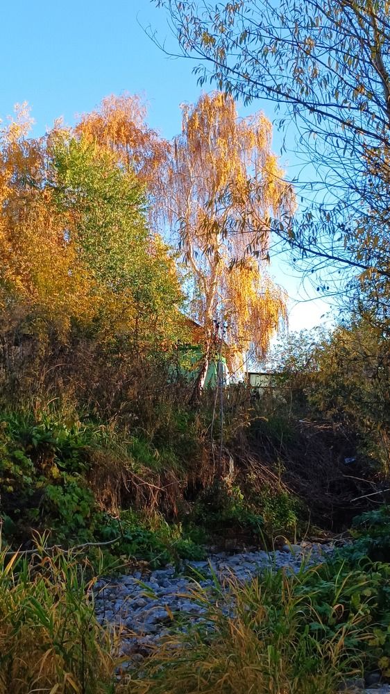 Photograph by  Татьяна Дорожко