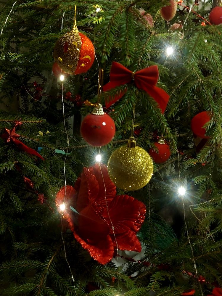 Photograph by  Мария