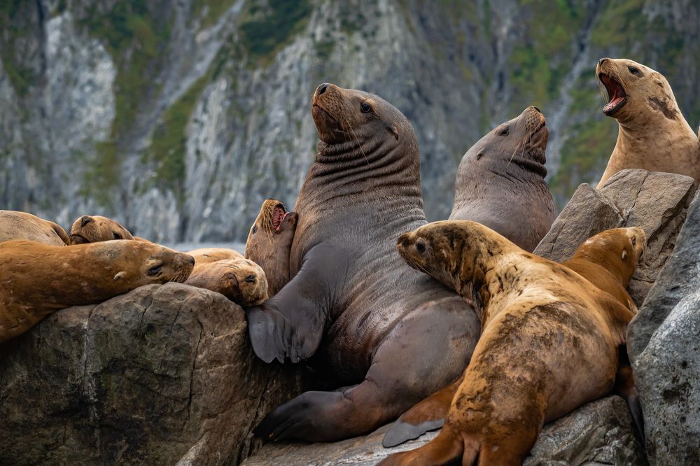 Photograph by Межин Сергей