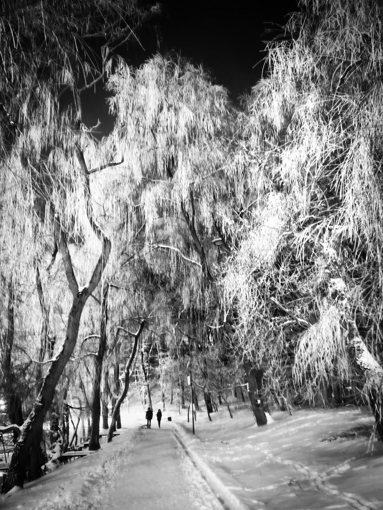 Photograph by Владимир Кривенко