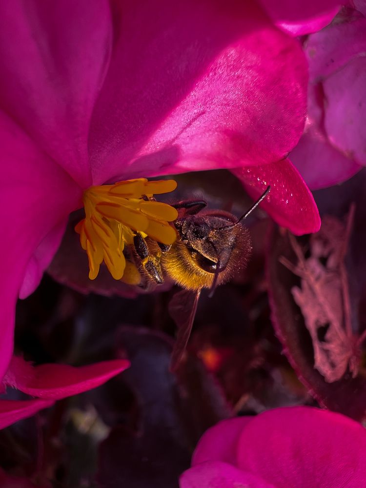 Photograph by Elvira