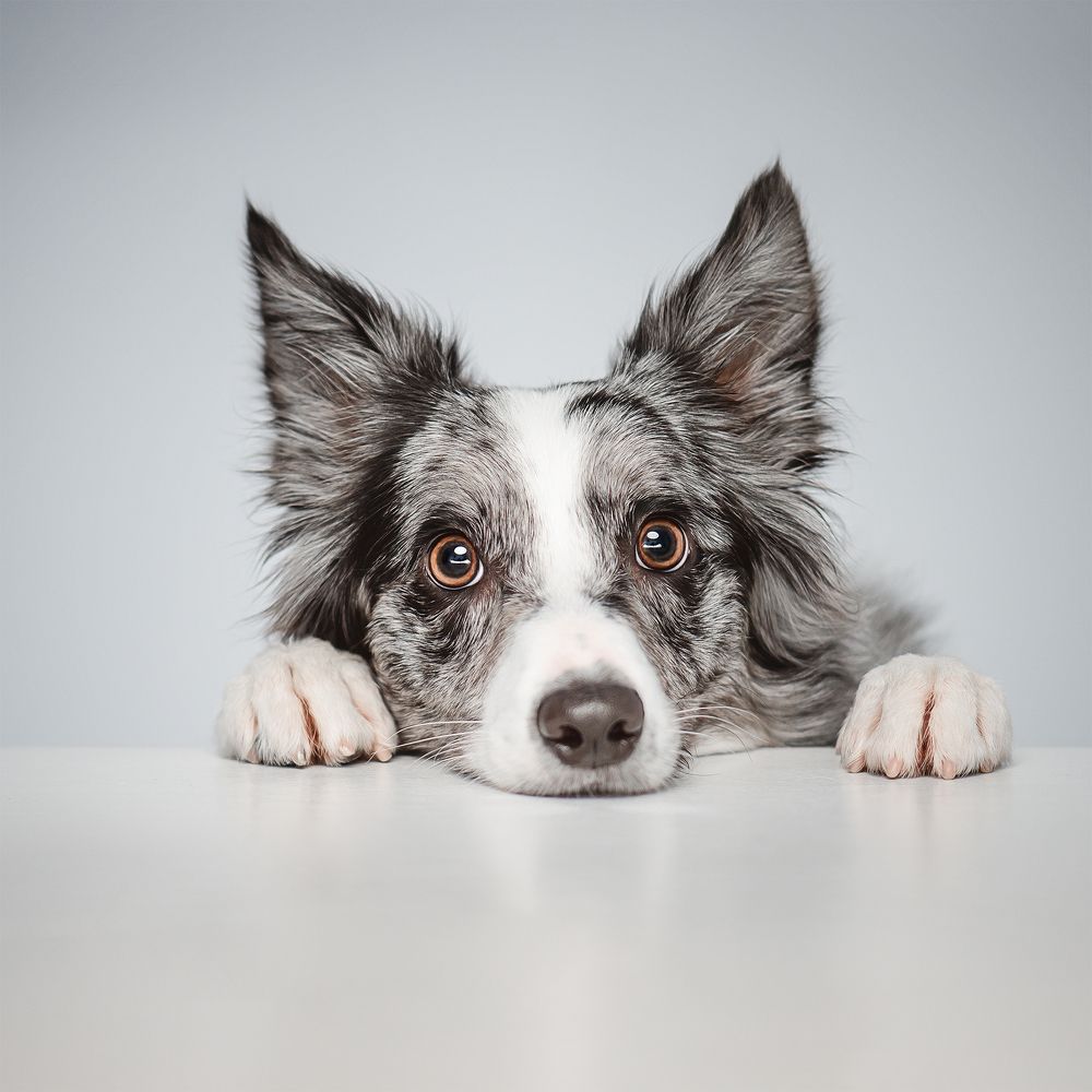 Photograph by Татьяна Полякова