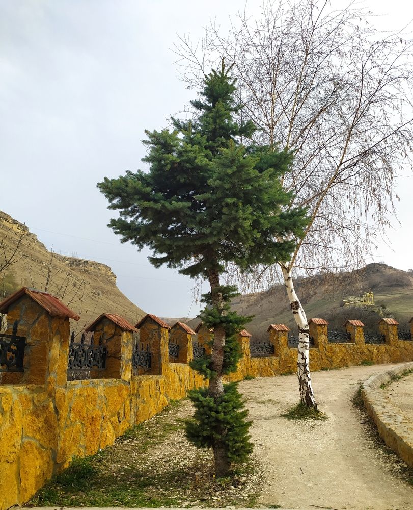 Фотография автора Елена Александрова