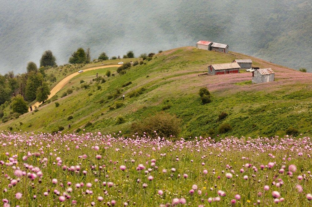 Photograph by Essi .saba