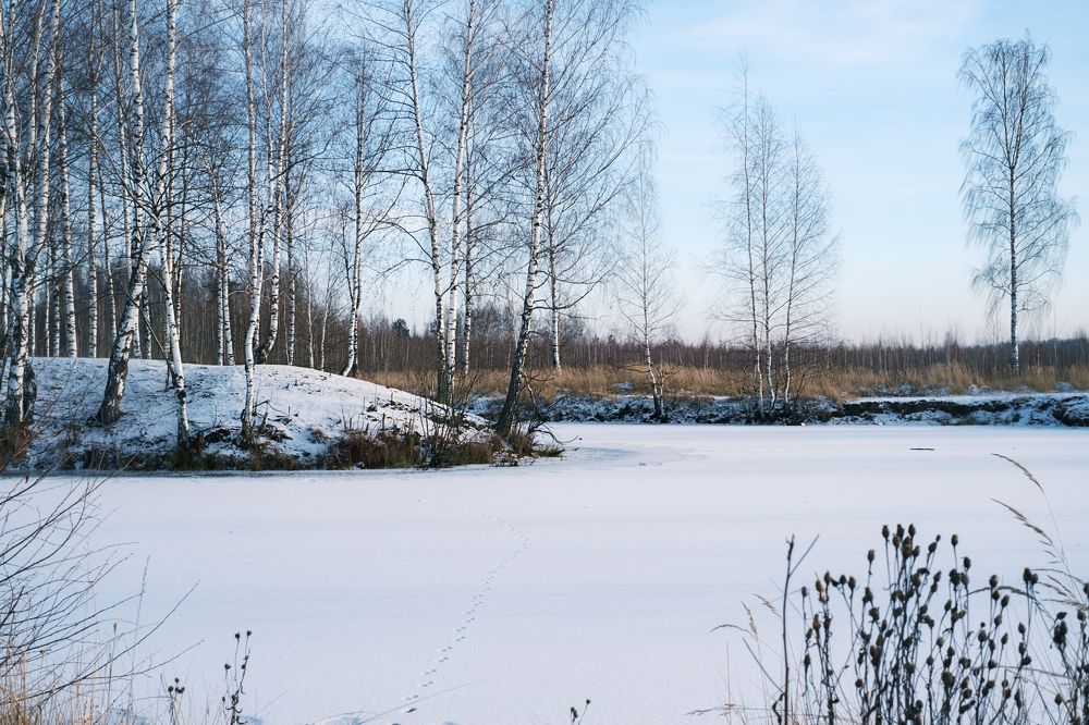 Фотография автора Денис Кулешов