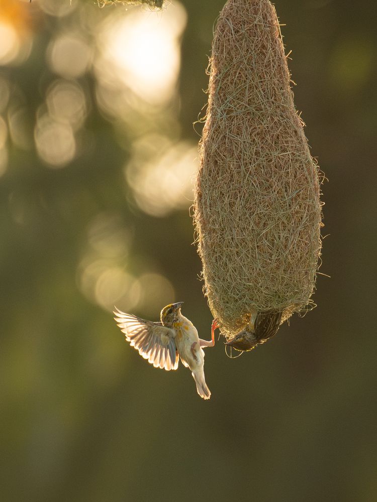 Фотография автора Anandhu M