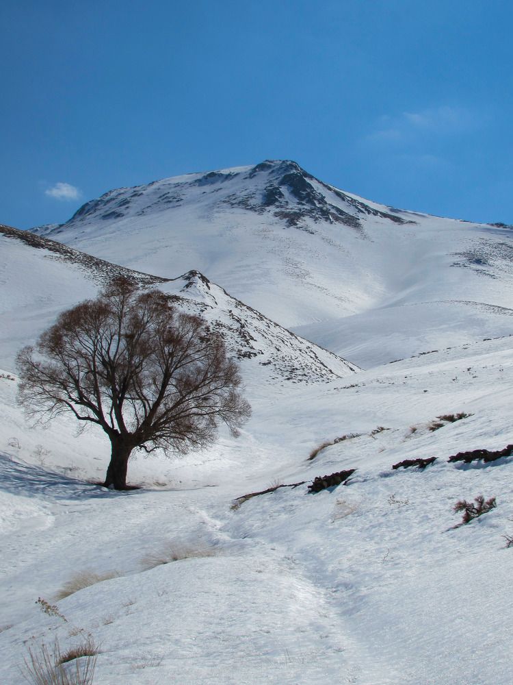 Photograph by Moein Gheysari