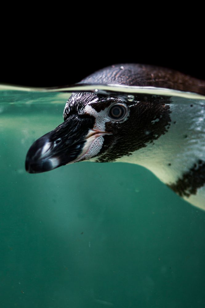 Photograph by Eva Daučíková