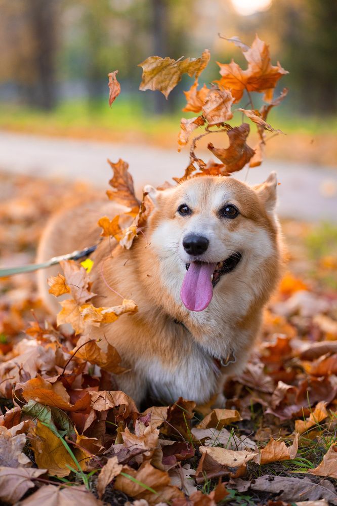 Photograph by Анна Полушина