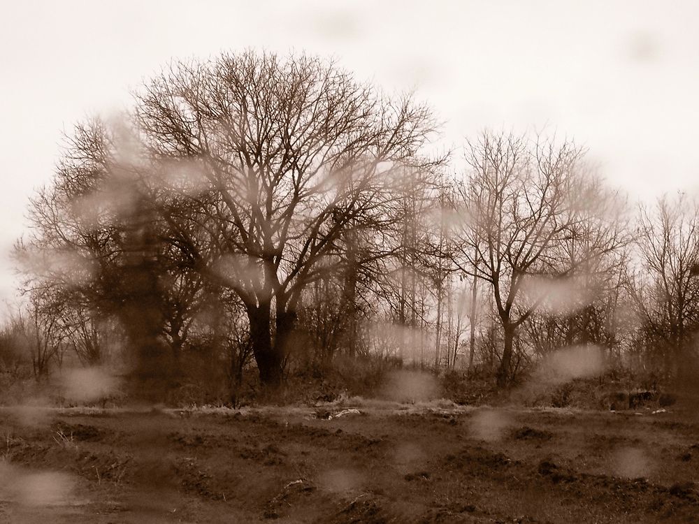 Photograph by Farid Ataei