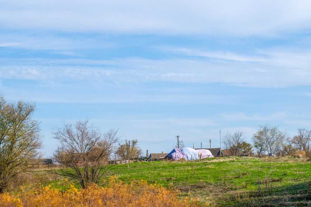 Photograph by Олег Алексеев