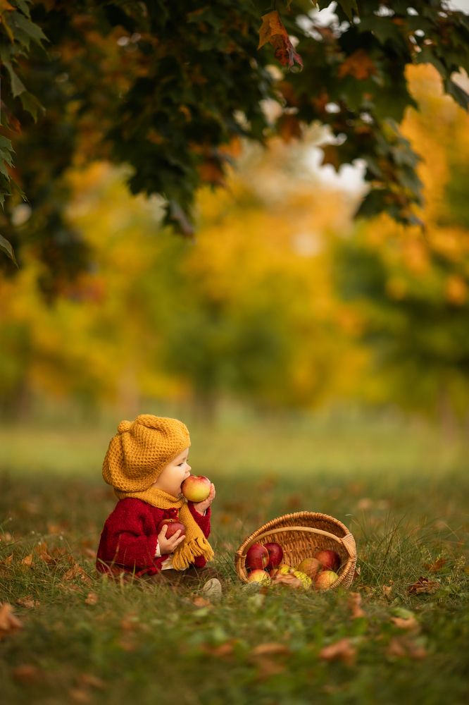 Photograph by Катерина Повидайко