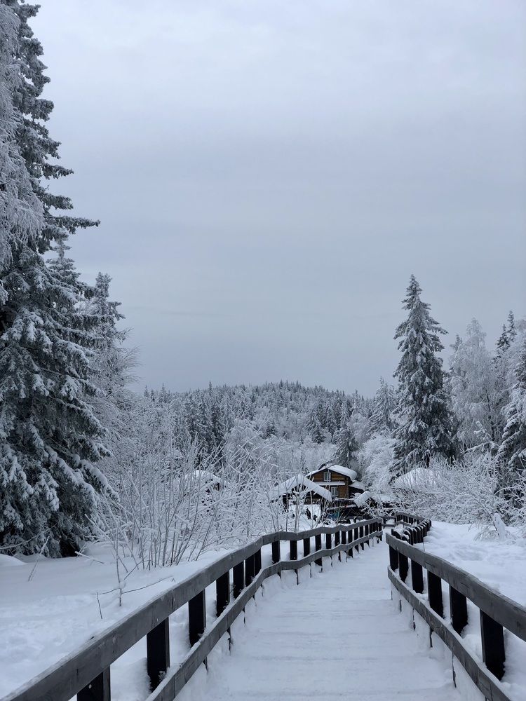 Фотография автора Евгения Елисеева