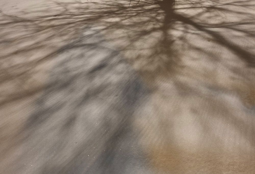 Photograph by Наталья Лягина