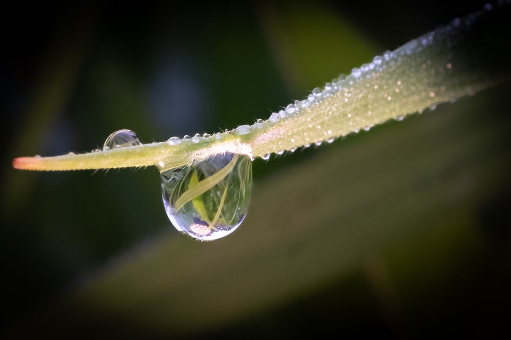 Photograph by Manuel Iglesias