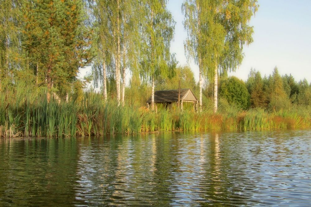 Летнее настроение