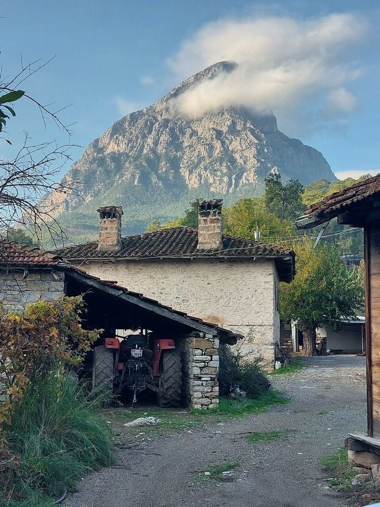 Photograph by Olga Min