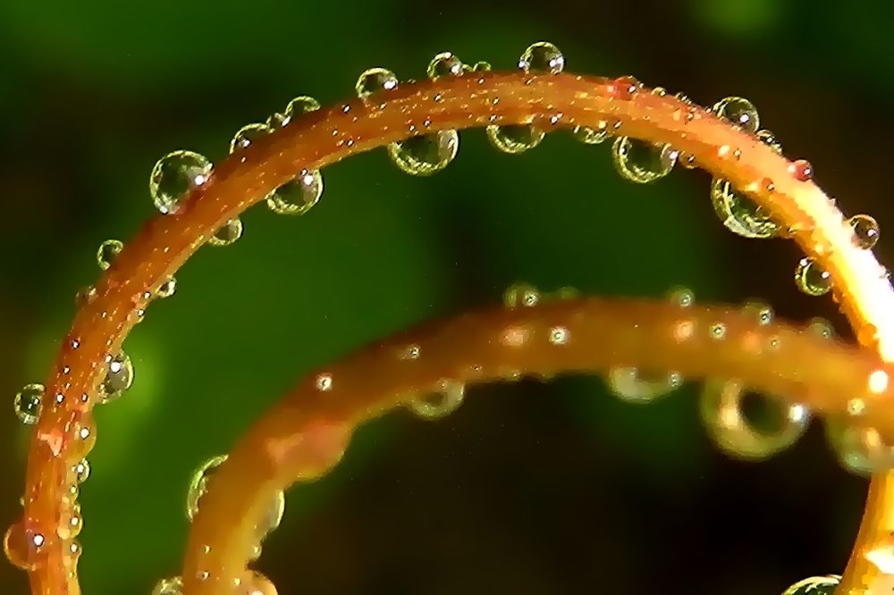 Фотография автора Fred Passos