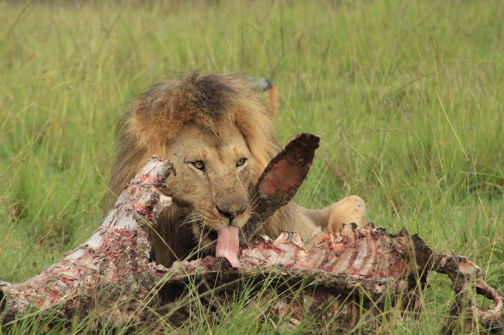 Photograph by Erasti Shish