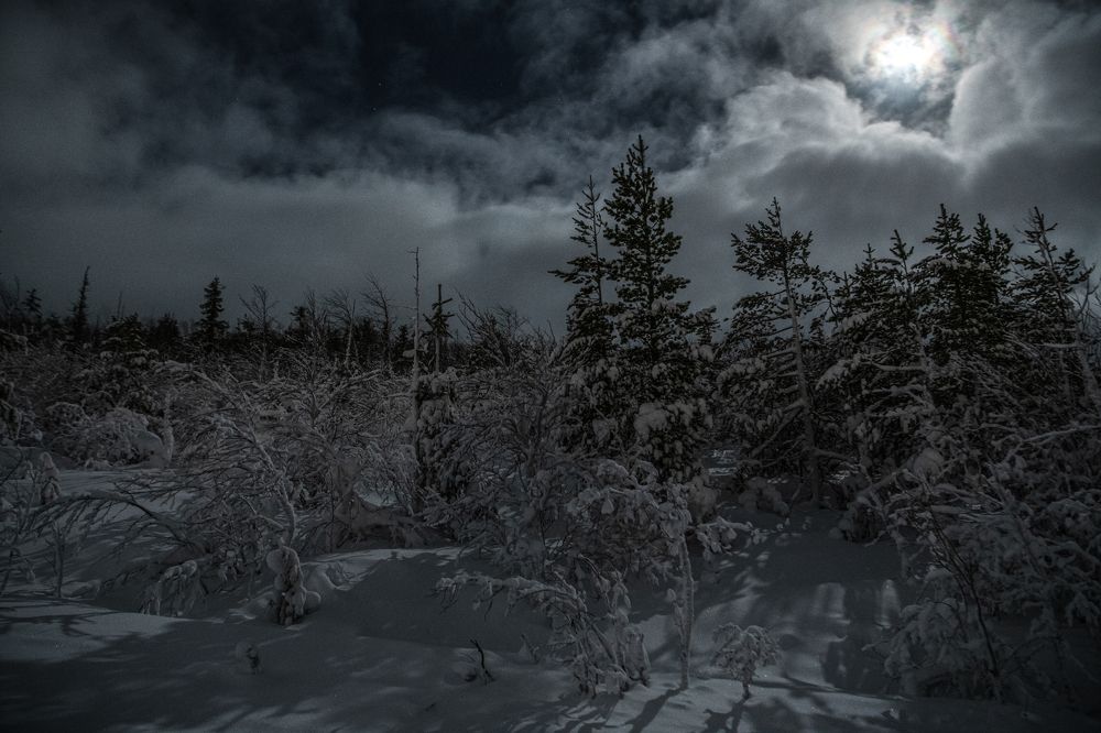 Photograph by Юрий Платухин