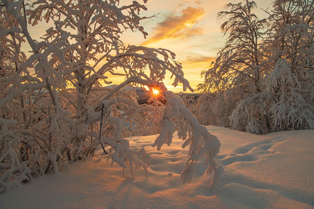 Здравствуй, Солнце!