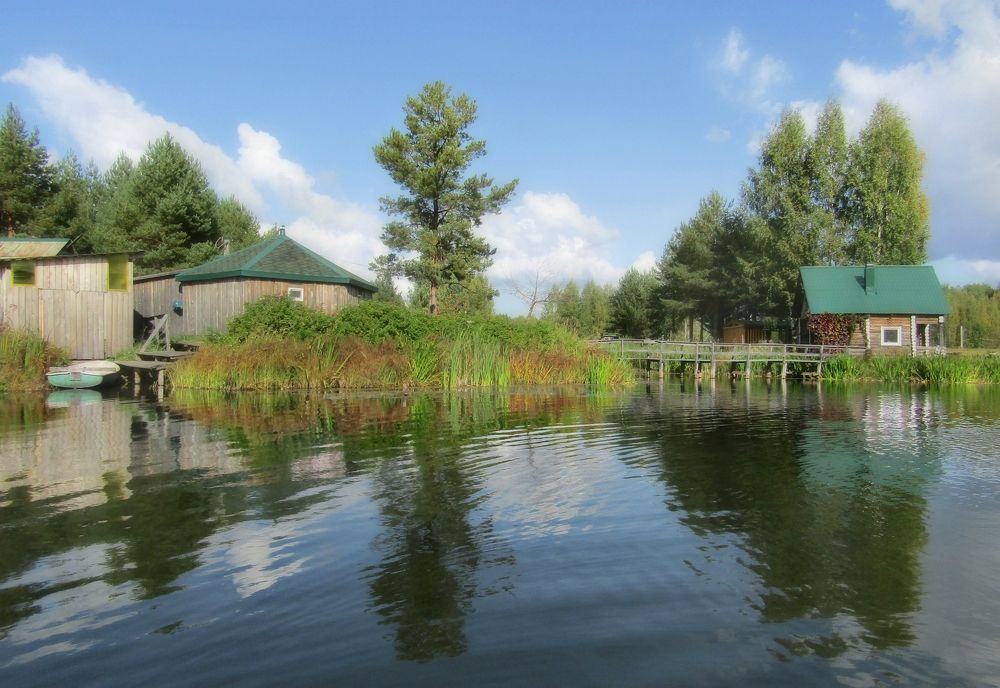 Хорошо в деревне летом!