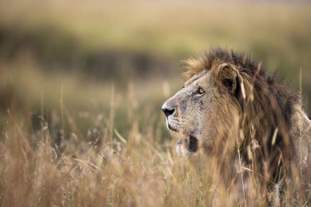 Photograph by Goutham Ganesh Sivanandam