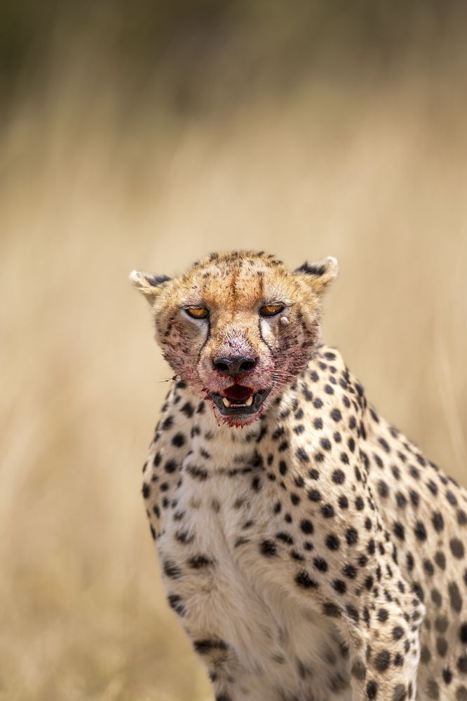 Photograph by Goutham Ganesh Sivanandam