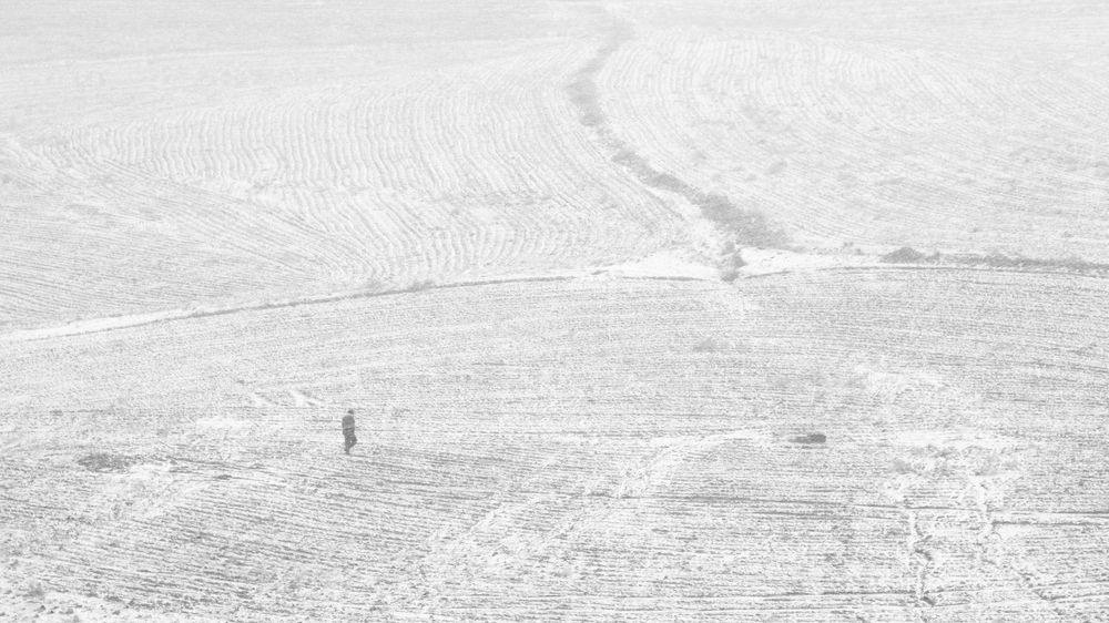 Photograph by seyed mostafa yousefi