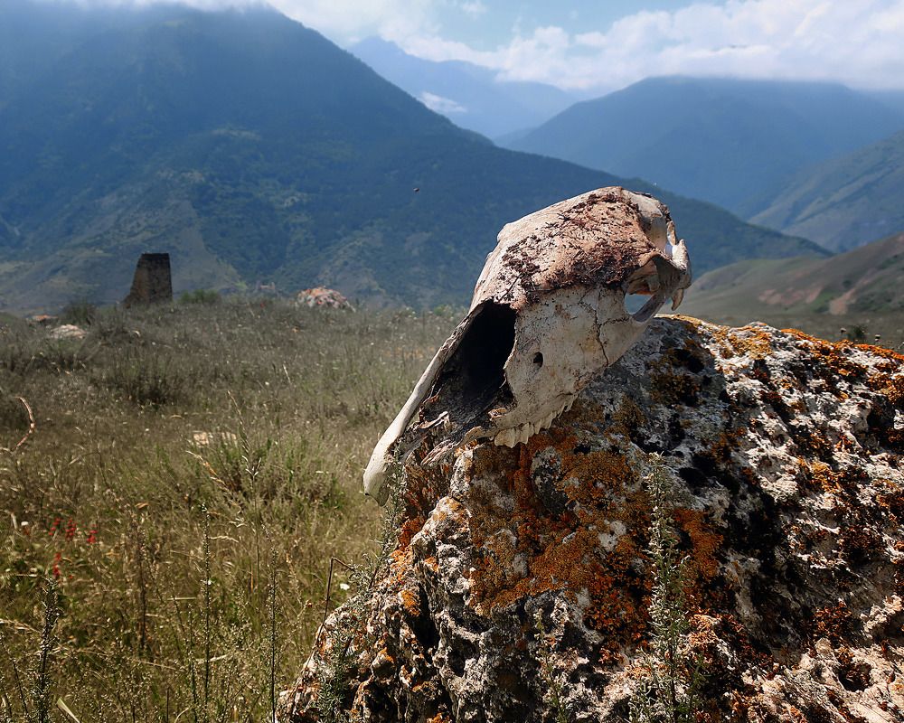 Photograph by Ольга Стоун