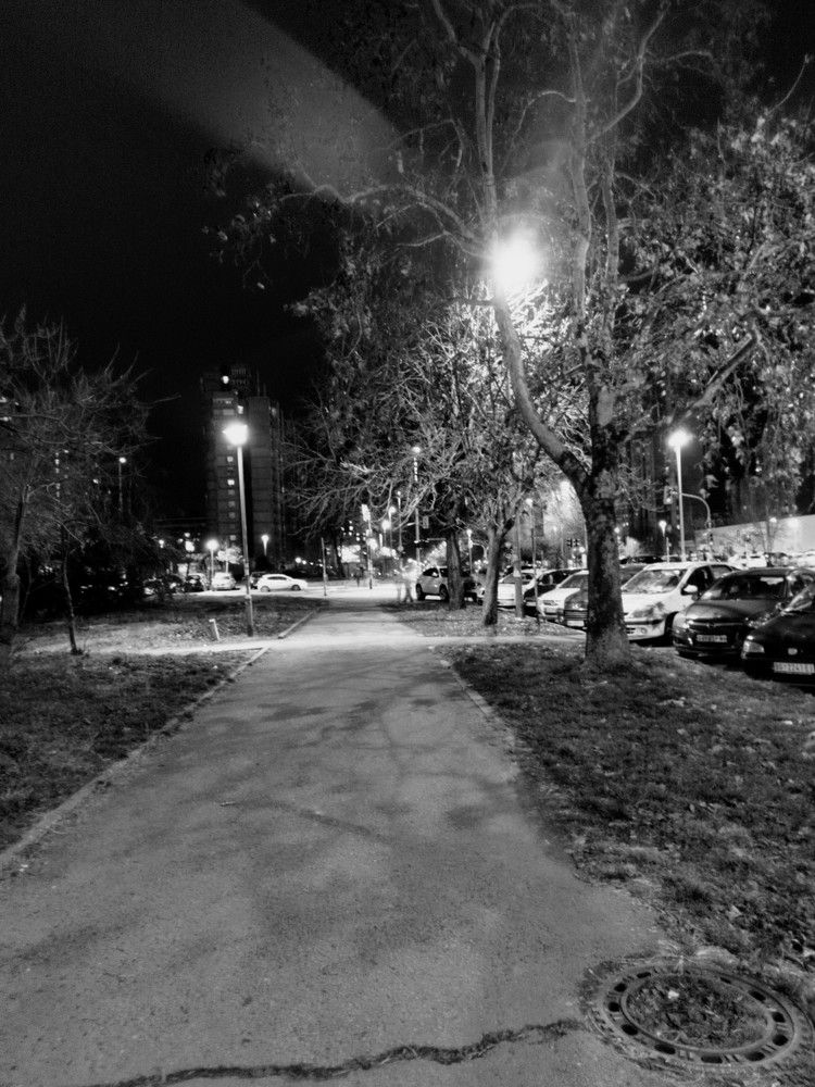 Photograph by Tatjana Rosic