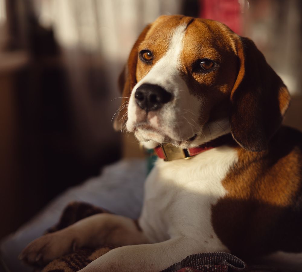 Photograph by Юлька Июньская