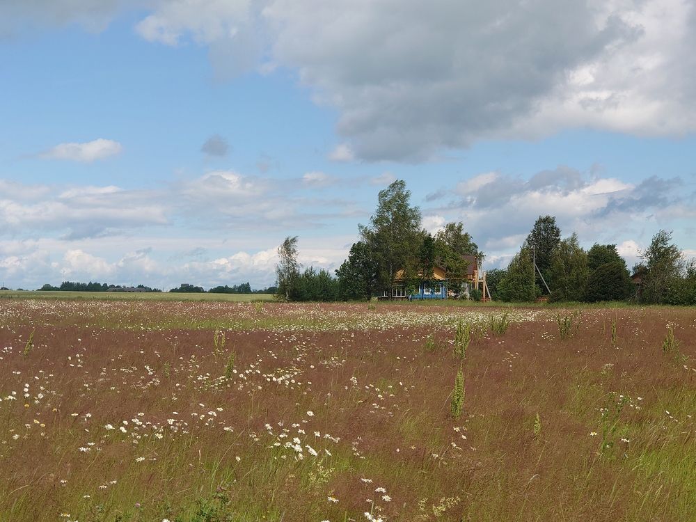 Photograph by Наталия Игоревна