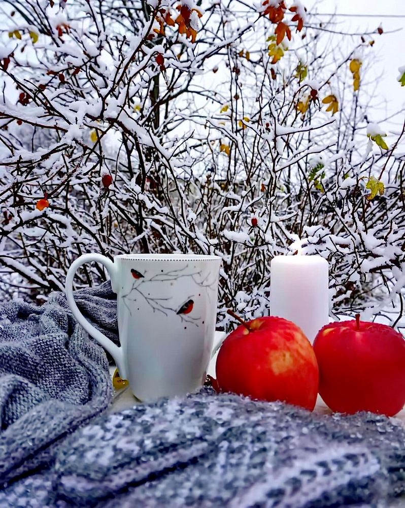 Photograph by Михаил Свиденцов