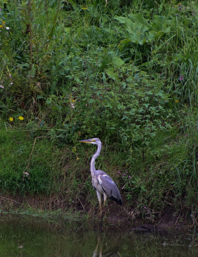 Photograph by Алина Кортикова