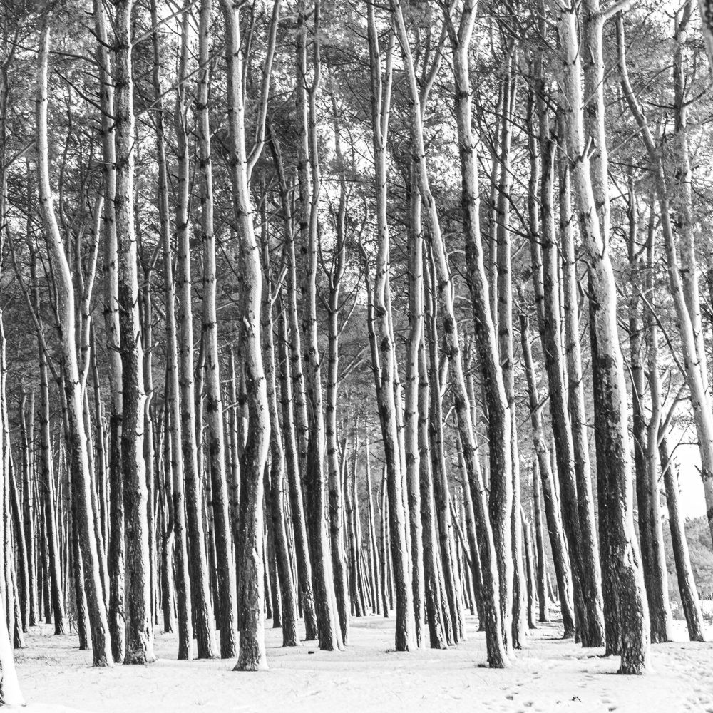 Photograph by Евгений Зачепило