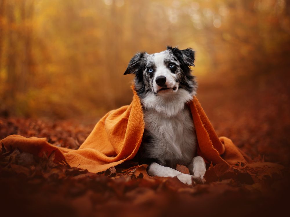 Photograph by Dorota Hnatová