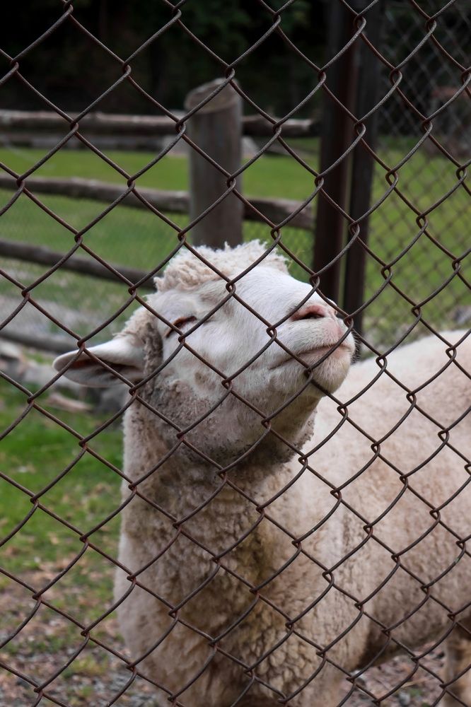 Photograph by Yuliana Shabovta