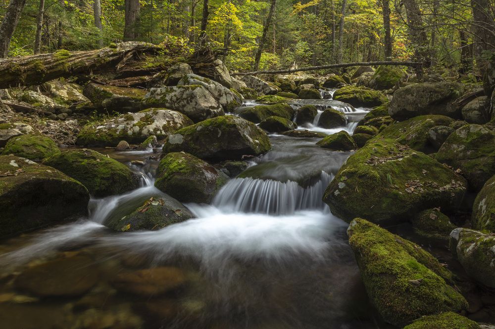 Photograph by ALEKSANDR KUZNETSOV