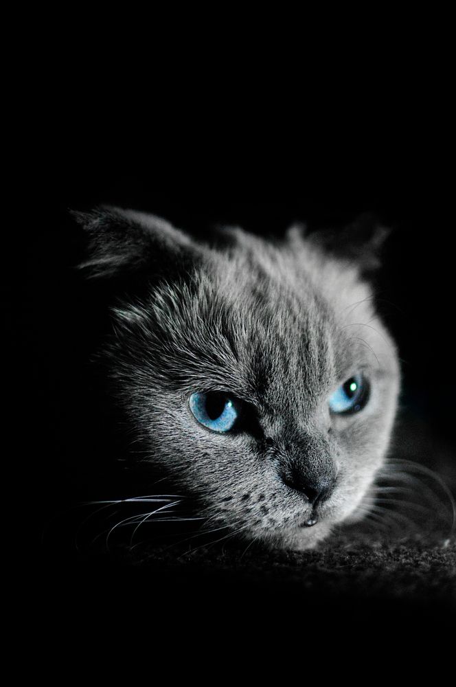 Фотография автора Наталия Шарова