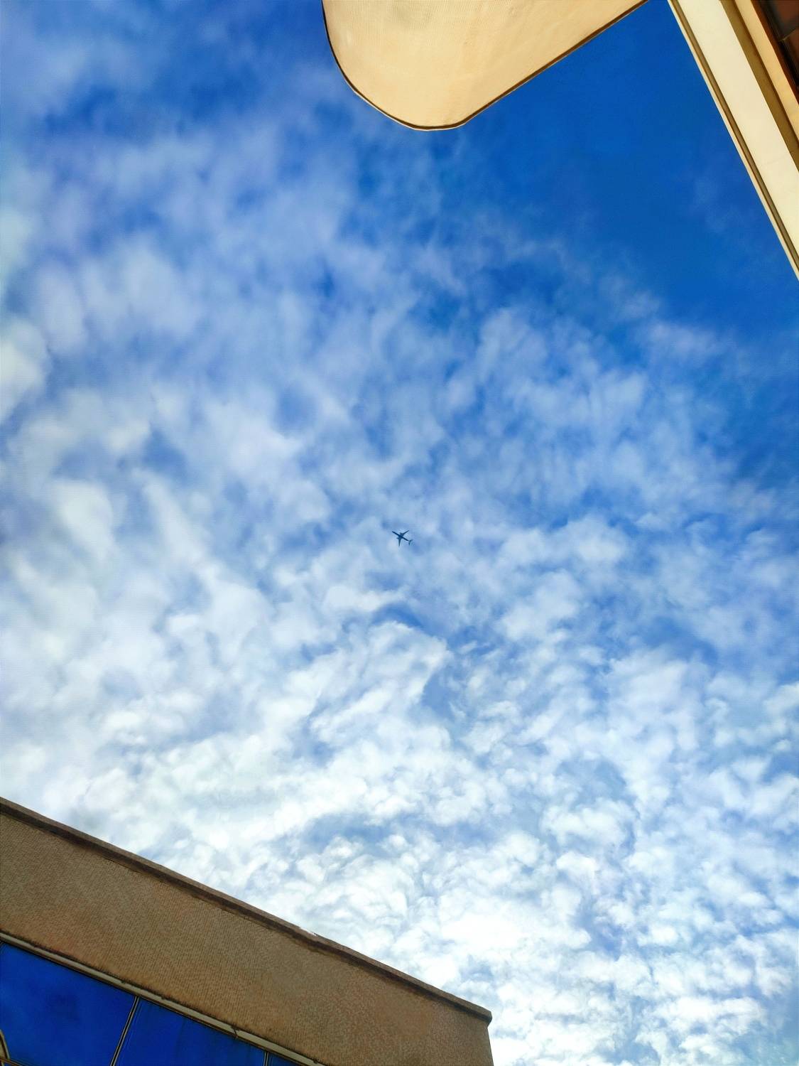 Photo #10202666