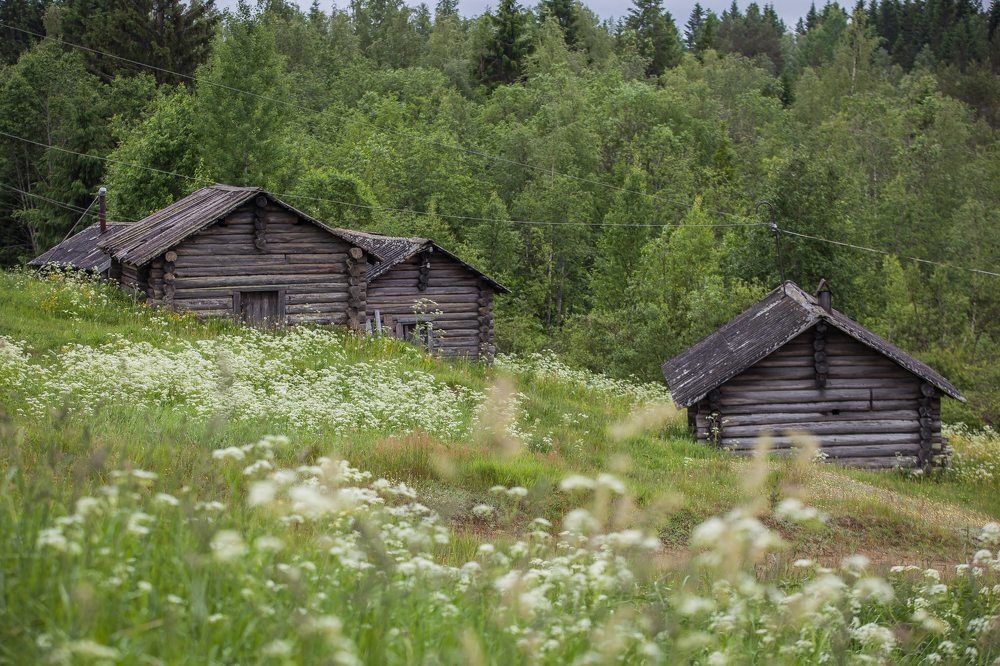 Photograph by Очева Наталья Александровна