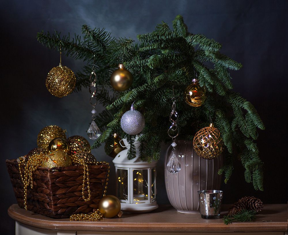 Photograph by Алина Ланкина